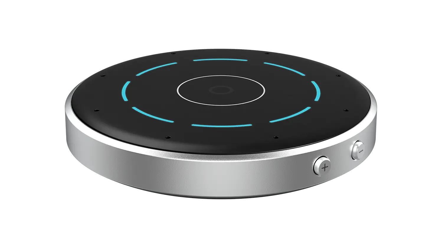 Directional Microphone